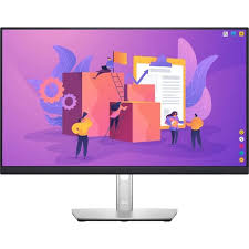 Dell P2422H Professional 23.8" FHD Monitor