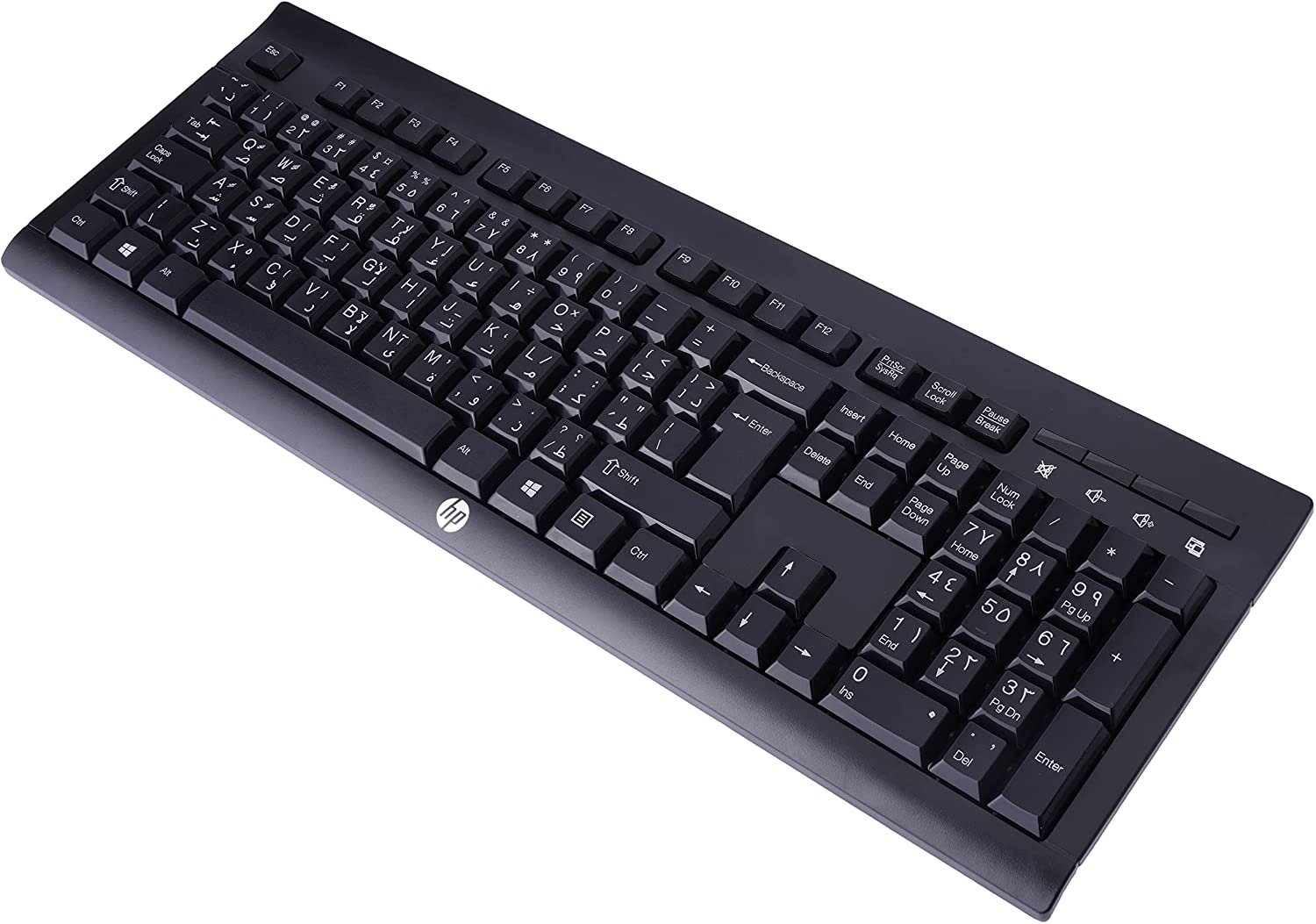 HP Wireless Keyboard K2500 (Eng/Arabic) - Black - E5E78AA