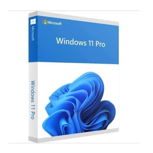 Windows 11 Pro License