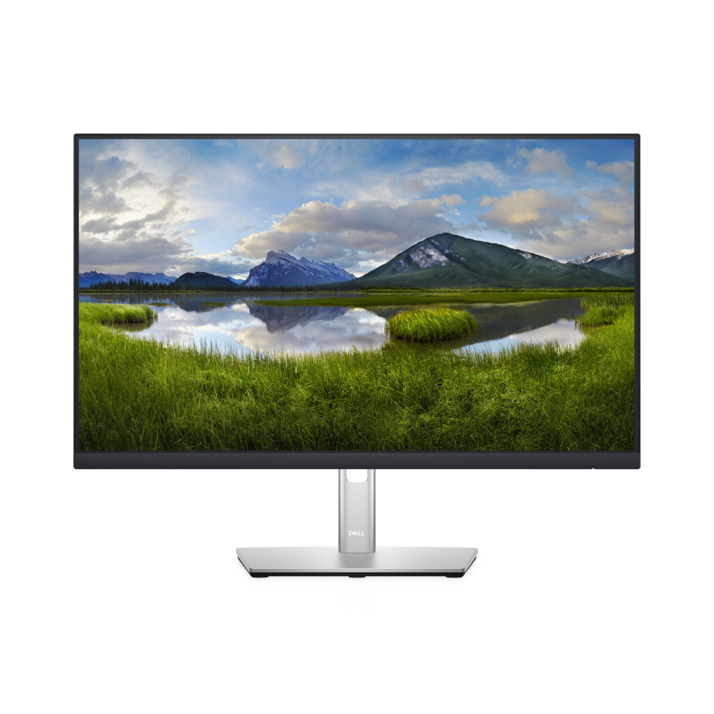 Dell P2422H 23.8" FHD Monitor, Height, Pivot (rotation), Swivel, Tilt - P2422H