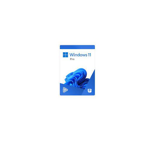 Windows 10 & 11 Pro 64-bit - Powerful Operating Systems