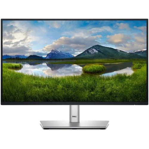 Dell 25" Edge-to-Edge Monitors with HDMI & DP